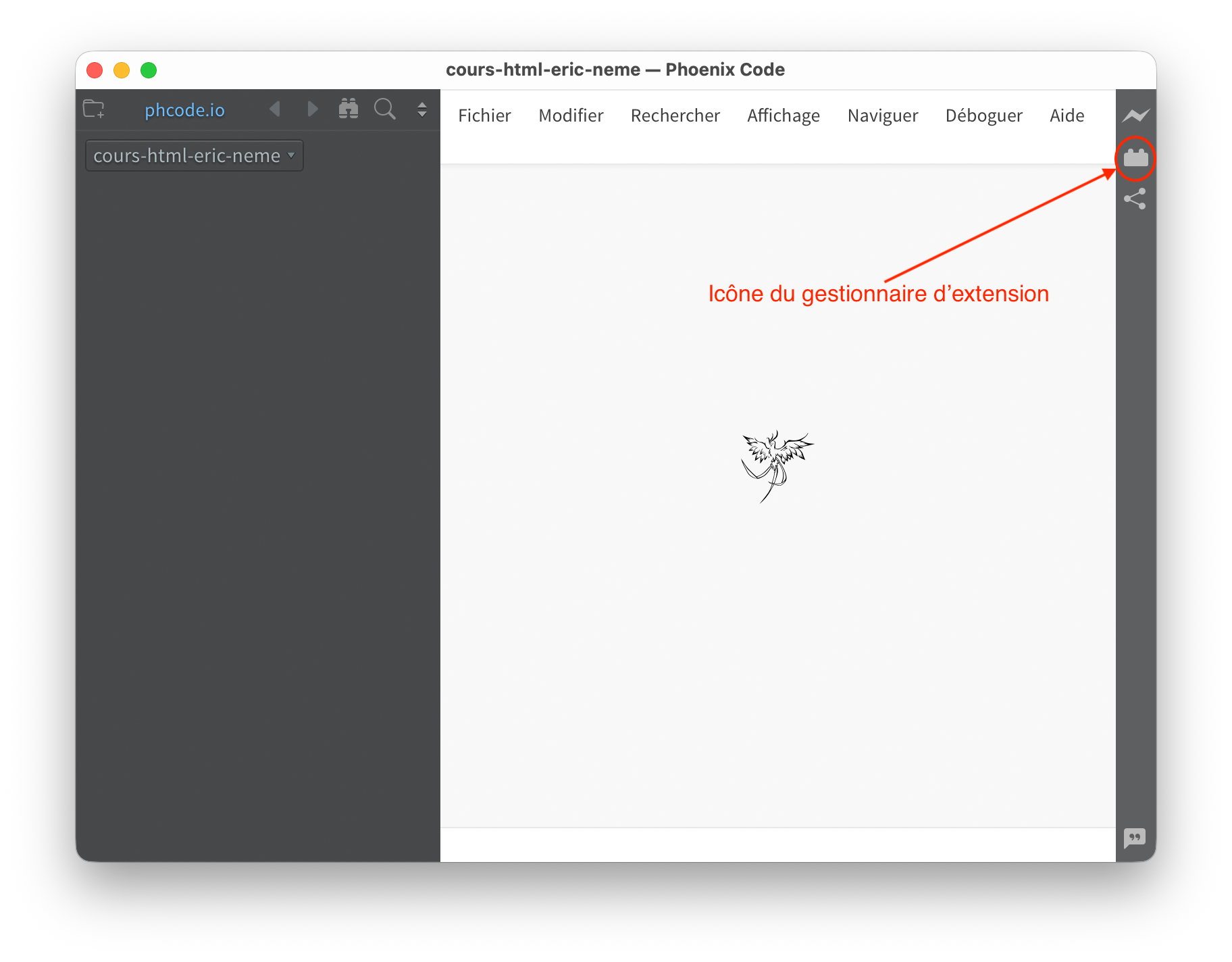 Le gestionnaire d'extension de Phœnix Code